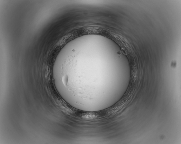 X0000096200759200802151525