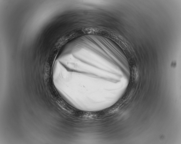 X0000096200760200802151525