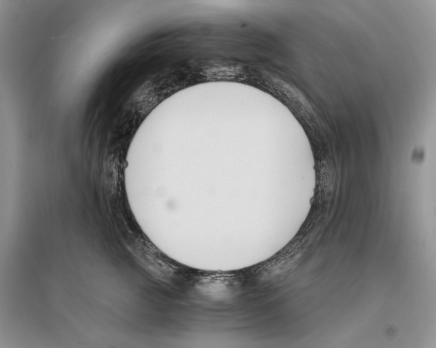 X0000096200761200802151525