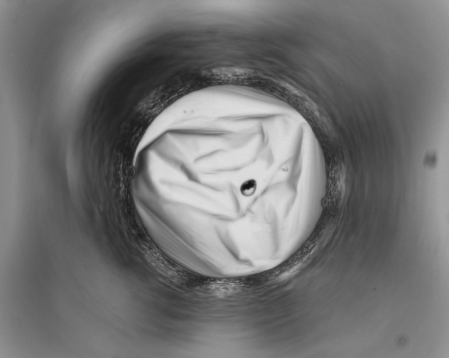 X0000096200762200802151525