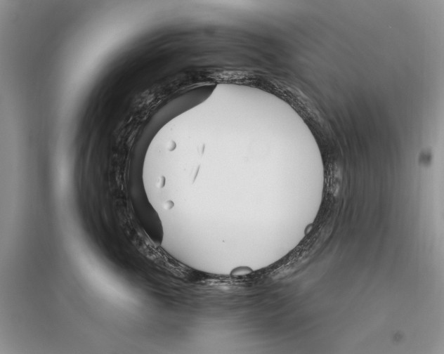 X0000096200763200802151525