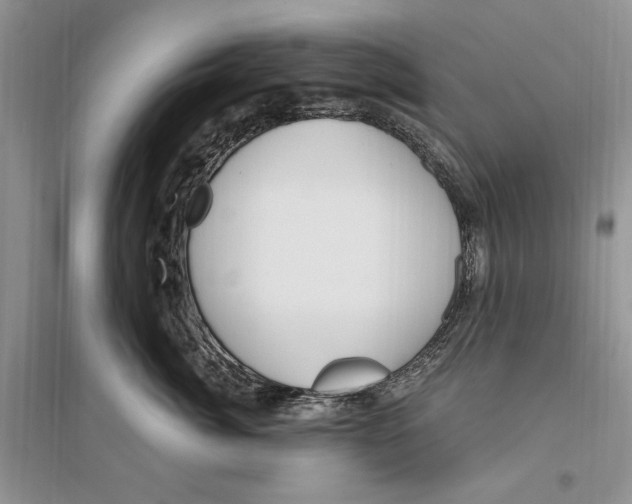 X0000096200764200802151525