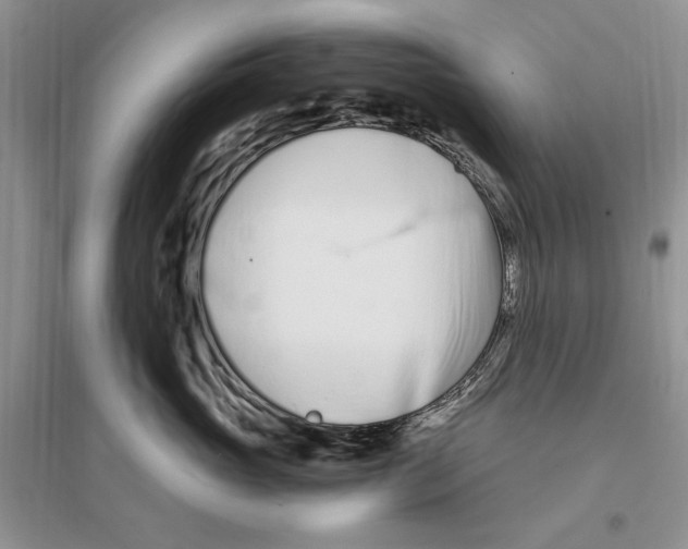 X0000096200765200802151525