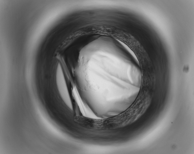 X0000096200766200802151526