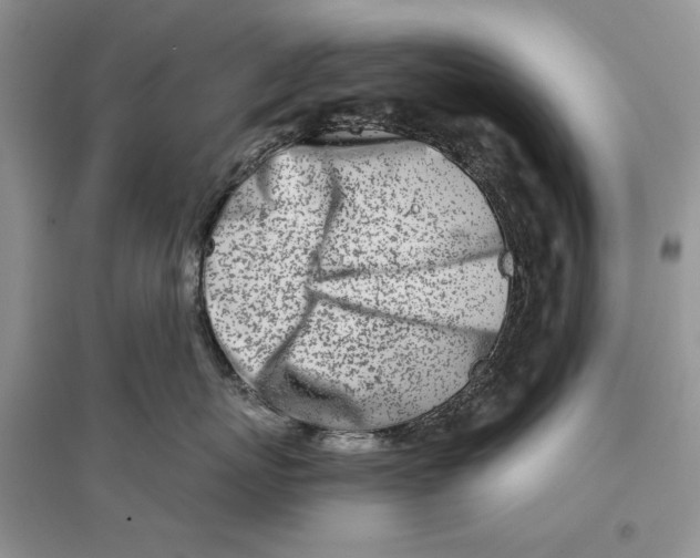 X0000096200767200802151526