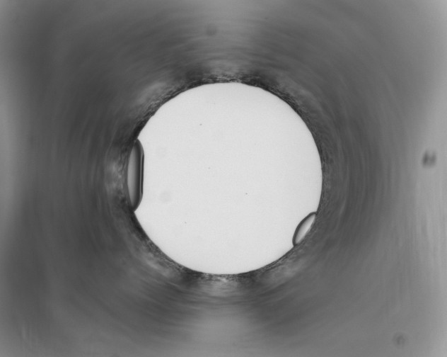 X0000096200768200802151526