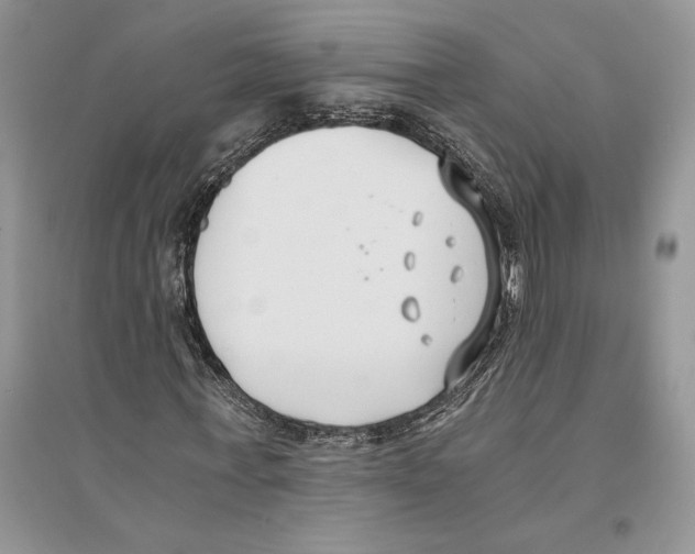 X0000096200771200802151525