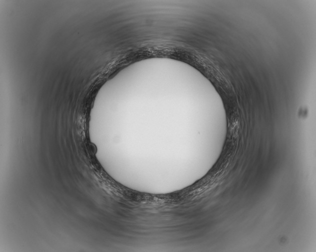 X0000096200772200802151525