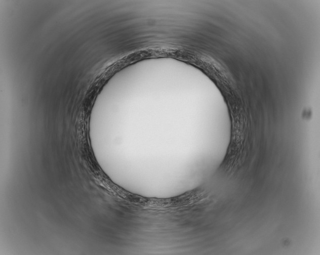 X0000096200773200802151525