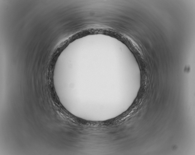 X0000096200775200802151525