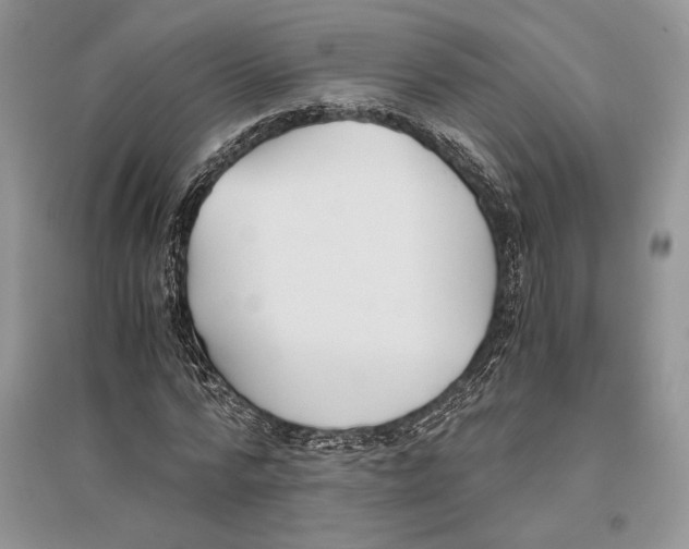 X0000096200776200802151525