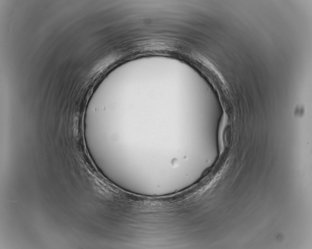 X0000096200777200802151525