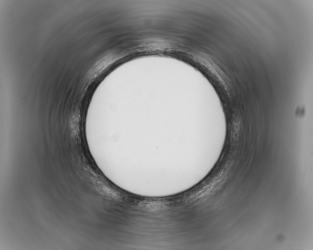 X0000096200778200802151525