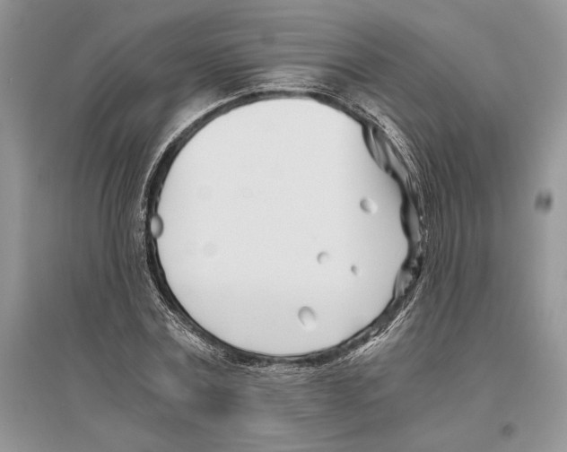 X0000096200779200802151525