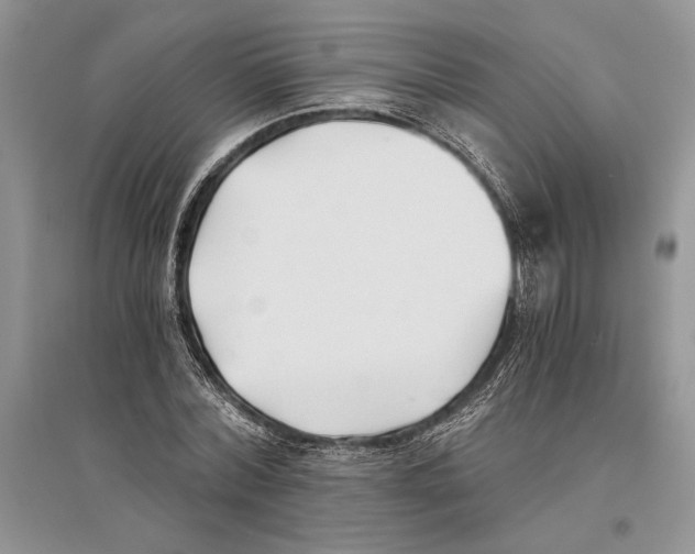 X0000096200780200802151525