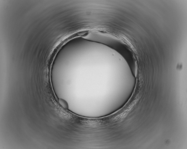 X0000096200781200802151525