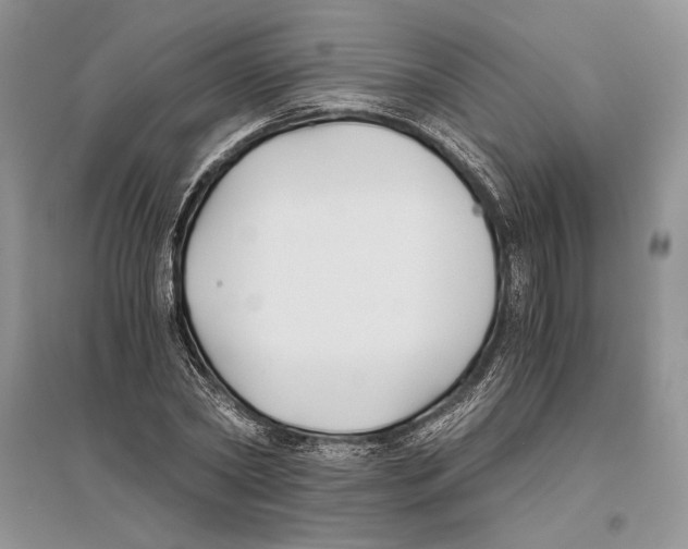 X0000096200782200802151525