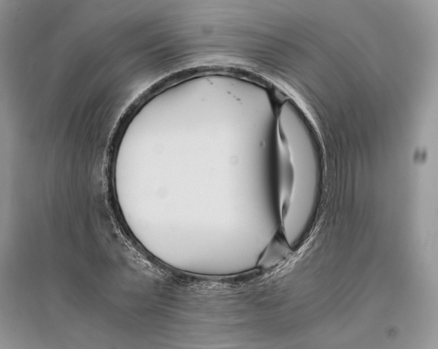 X0000096200783200802151525