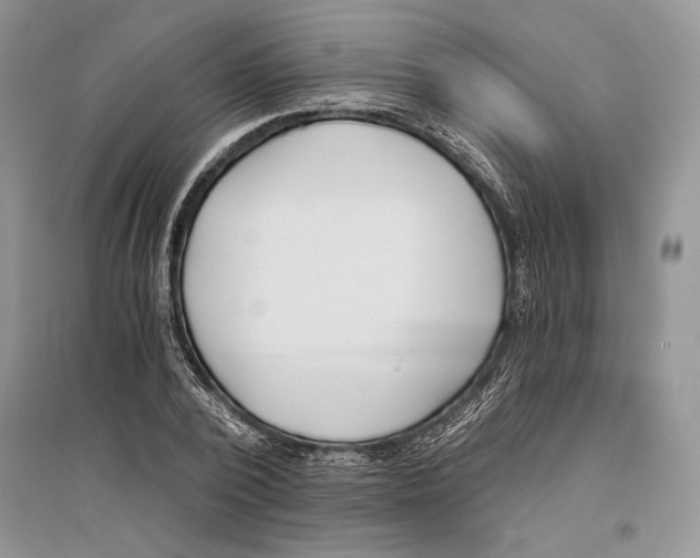 X0000096200784200802151525