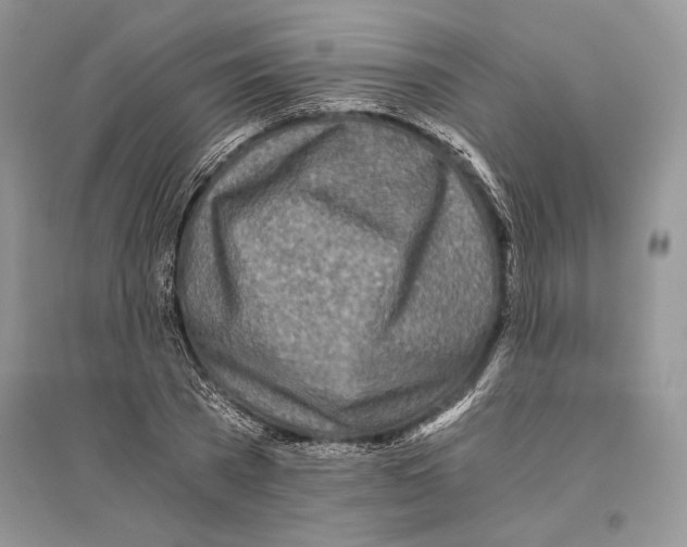 X0000096200785200802151525