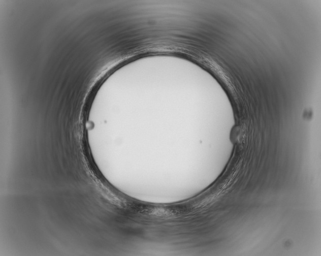 X0000096200787200802151525