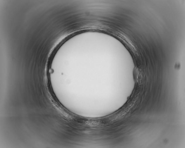 X0000096200788200802151525