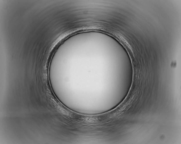 X0000096200789200802151525