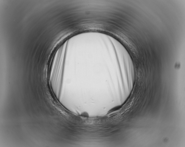 X0000096200790200802151525