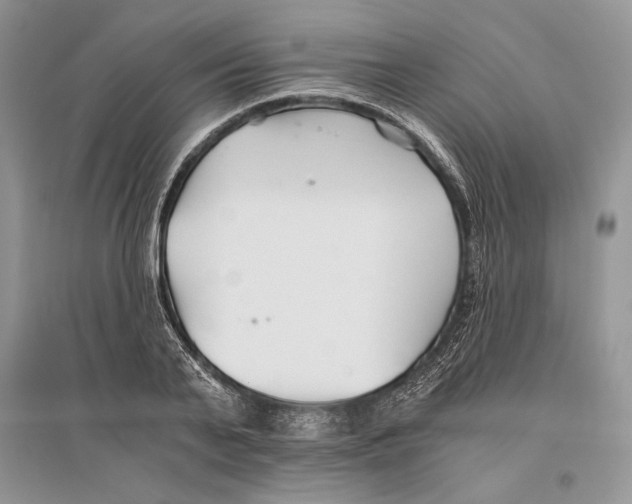 X0000096200791200802151525