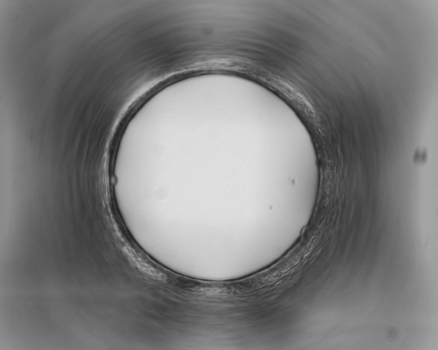 X0000096200792200802151525