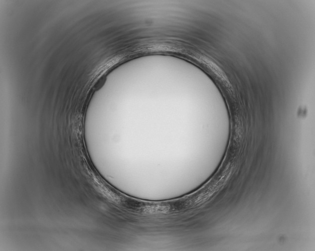 X0000096200793200802151525