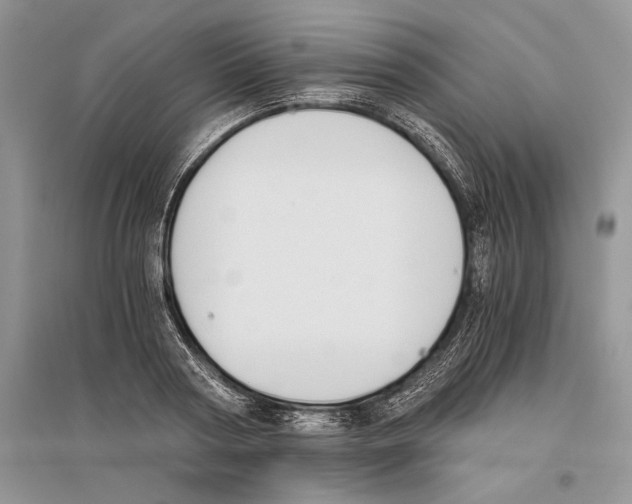 X0000096200794200802151525