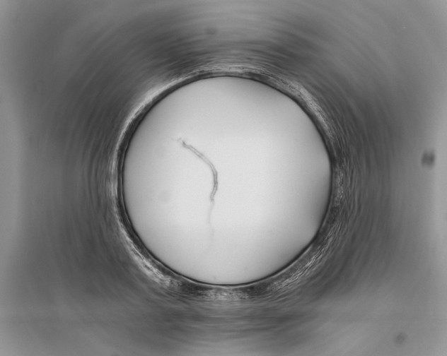 X0000096200795200802151525