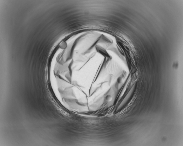 X0000096200796200802151525