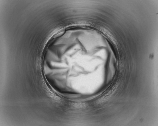 X0000096200797200802151524