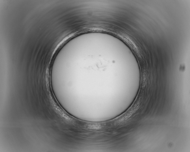 X0000096200798200802151524