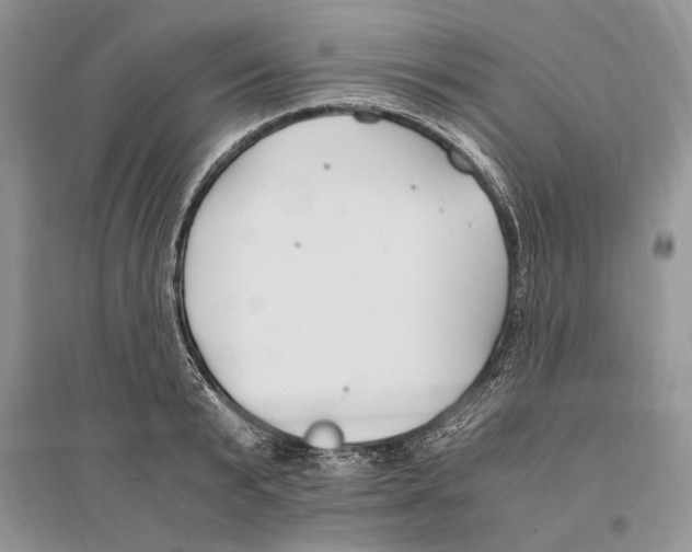 X0000096200799200802151524