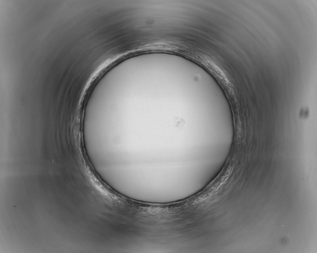 X0000096200800200802151524