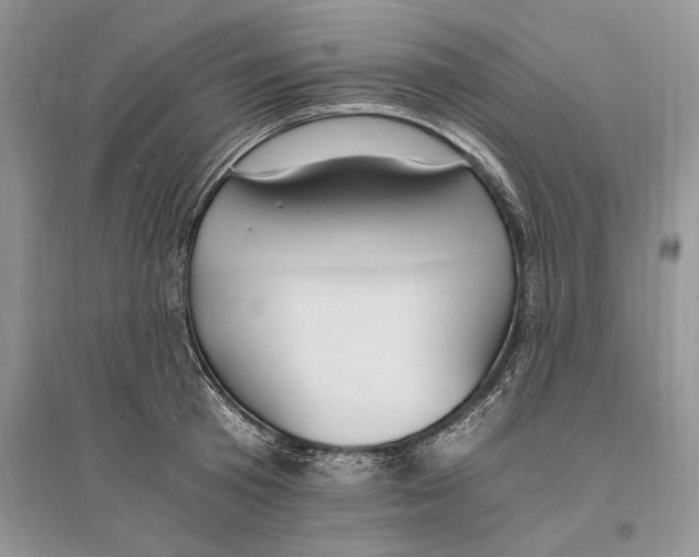 X0000096200801200802151524