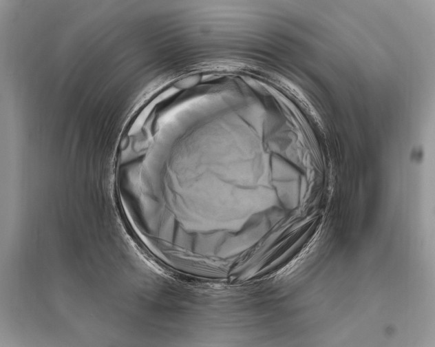 X0000096200802200802151524