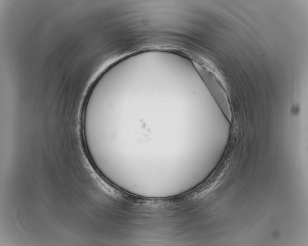 X0000096200803200802151524