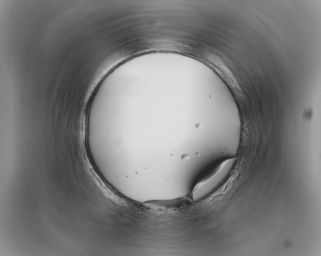 X0000096200804200802151524