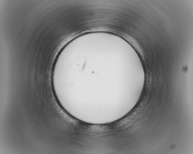 X0000096200805200802151524