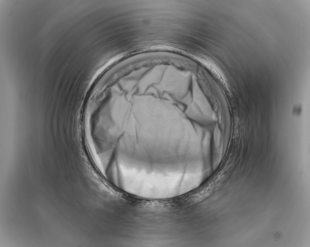 X0000096200806200802151524