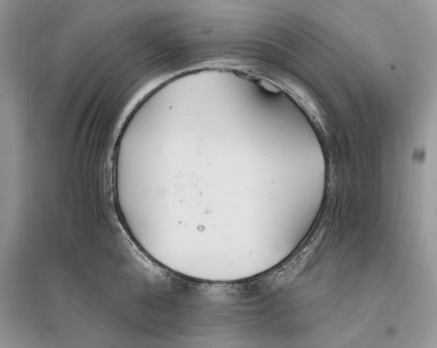 X0000096200808200802151524