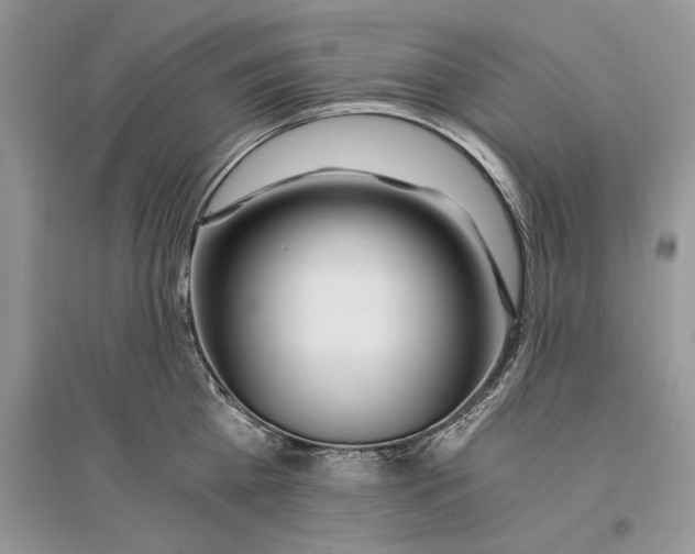 X0000096200809200802151524