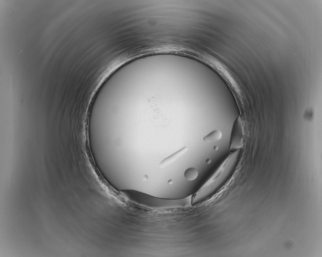 X0000096200810200802151524