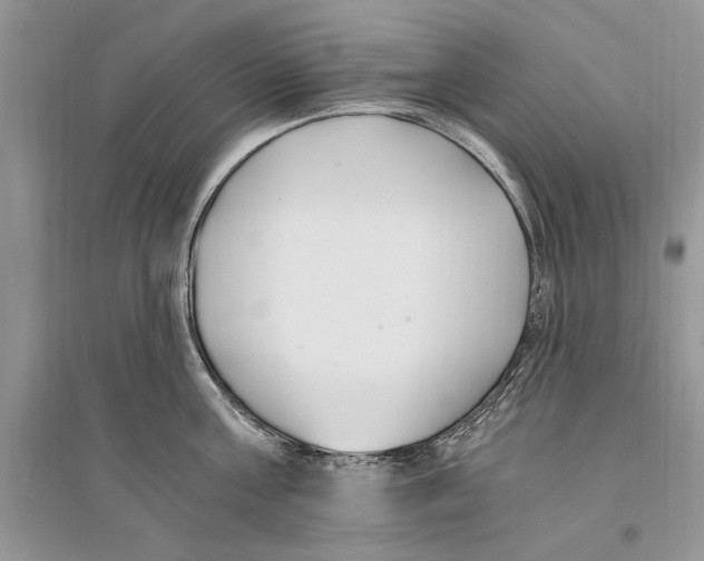 X0000096200811200802151524