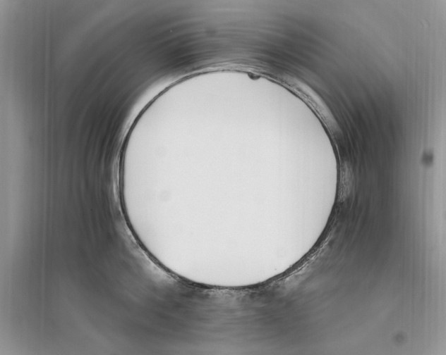 X0000096200812200802151524