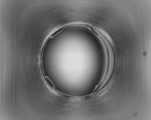 X0000096200813200802151524